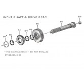 Input Shaft & Drive Gear